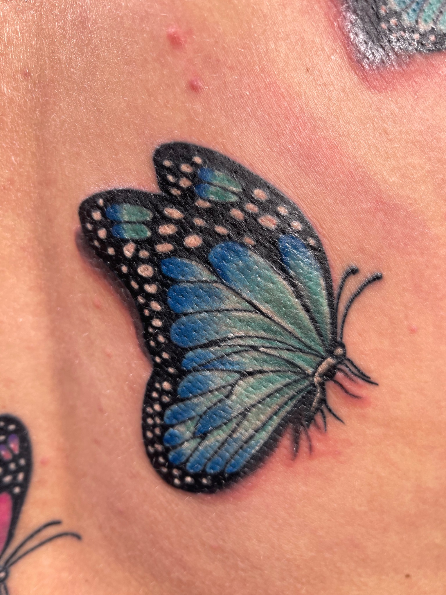 Recovered tattoo view