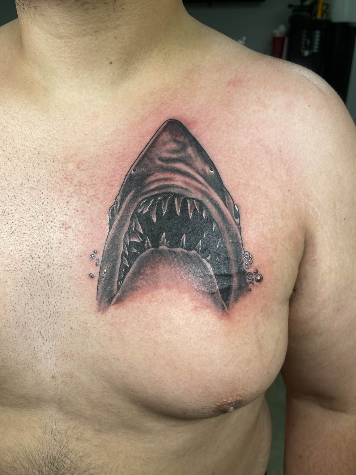 Shark tattoo