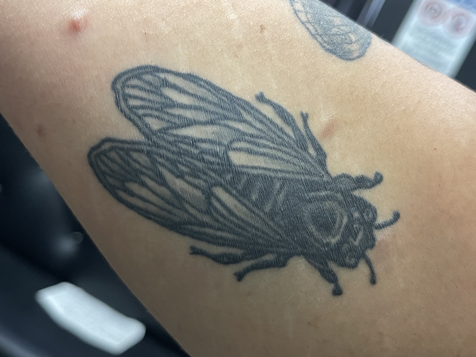 Recovered tattoo still